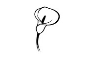 Black Lily Flower Vector Bundle, an Illustration by Designs_River (Thumbnail 31 of 51)