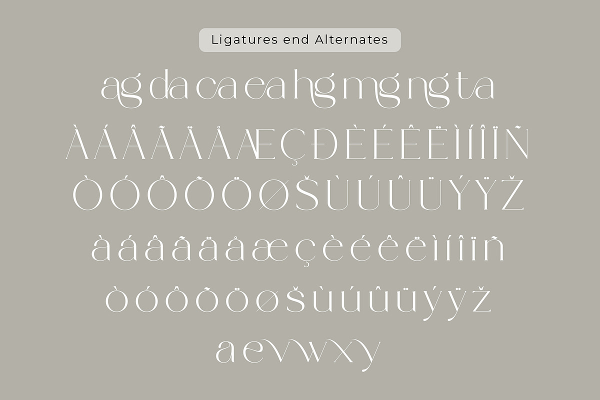 Bowsinge - A Beauty Modern Serif, a Serif Font by Muflieart (Photo 10 of 10)