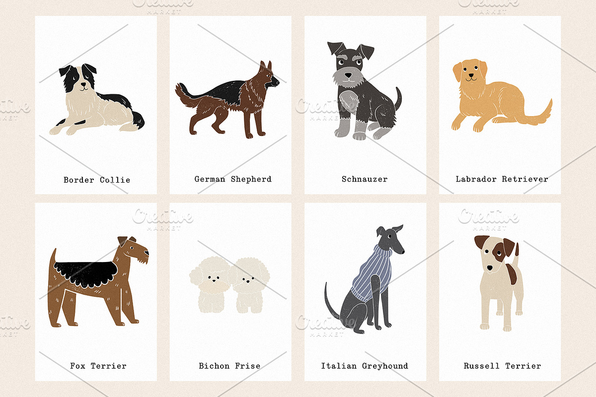 Friends: 23 different dog breeds, an Animal Illustration by Mii Lab (Photo 11 of 13)