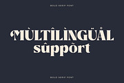 Suifak Bold Serif Font, a Serif Font by Storytype Studio (Thumbnail 8 of 10)