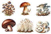Watercolor Mushroom Clipart, an Illustration by CreationArt (Thumbnail 6 of 7)