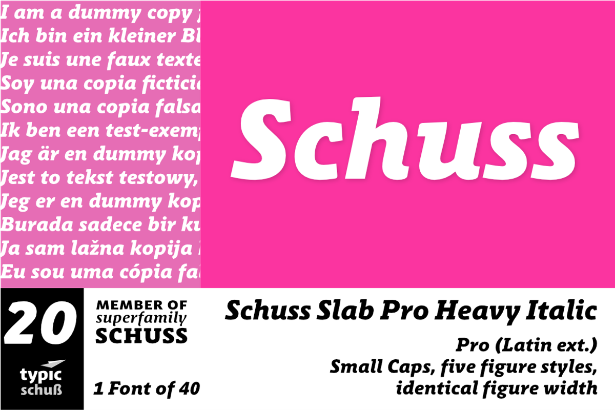 SchussSlabProHeavyIta No.20 (1 Font)