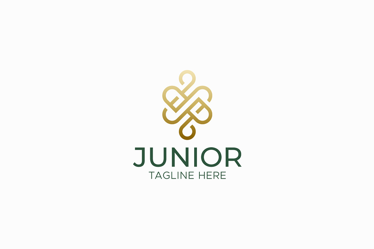 JR Logo Monogram Concept Luxury, a Branding & Logo Template by Signatoro (Photo 2 of 3)