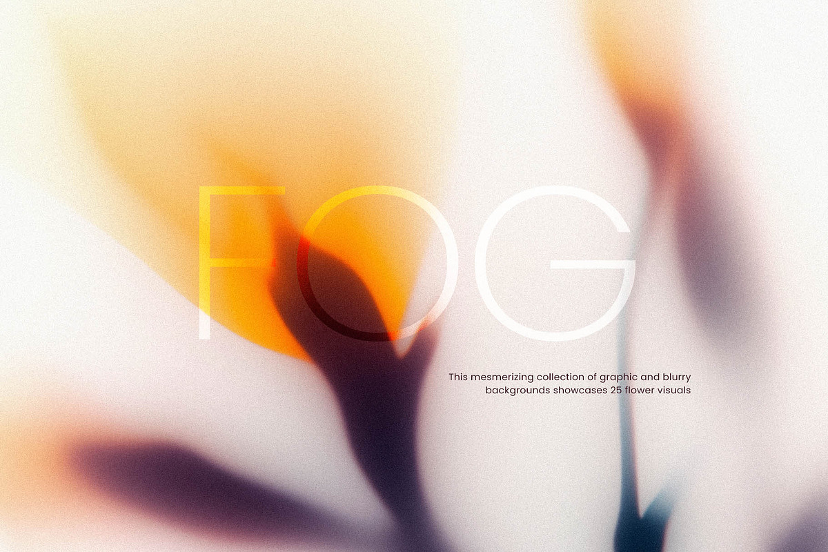 Foggy Flower Collection, a Background Graphic by nkate (Photo 1 of 11)