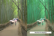 20 Minty Green Lightroom Presets, a Preset Add-On by SparkleStock (Thumbnail 8 of 13)