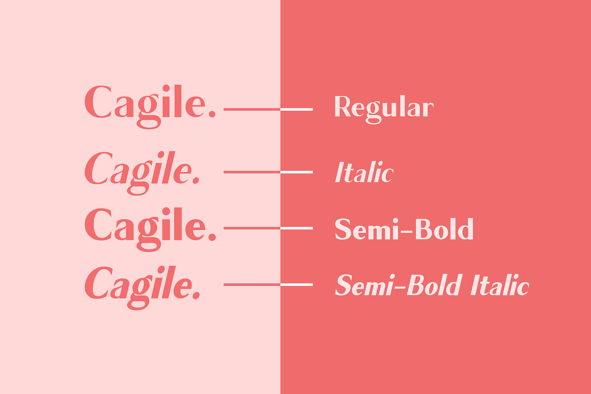 Cagile - 4 Styles preview 2