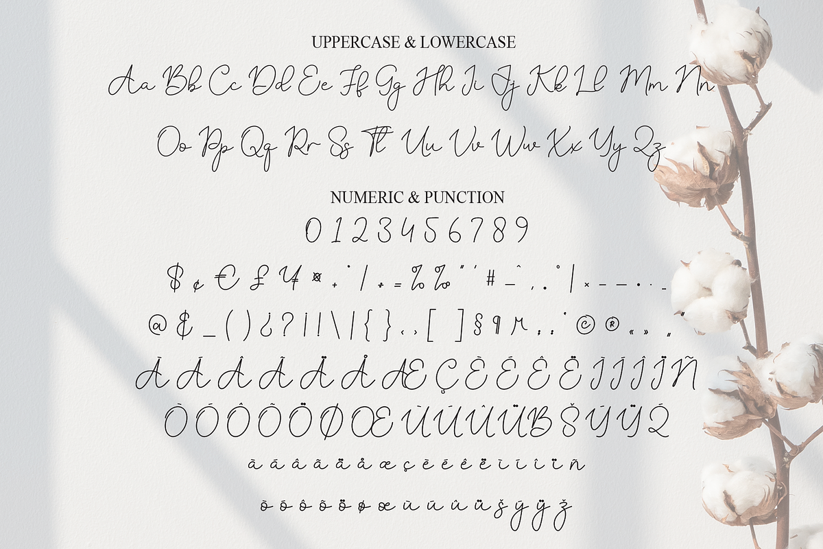 Adelya | Script Font, a Handwritten Font by Scratchones (Photo 7 of 9)
