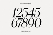 Lifestyle Icons | 8 Font Files, a Serif Font by Pista Mova (Thumbnail 18 of 21)