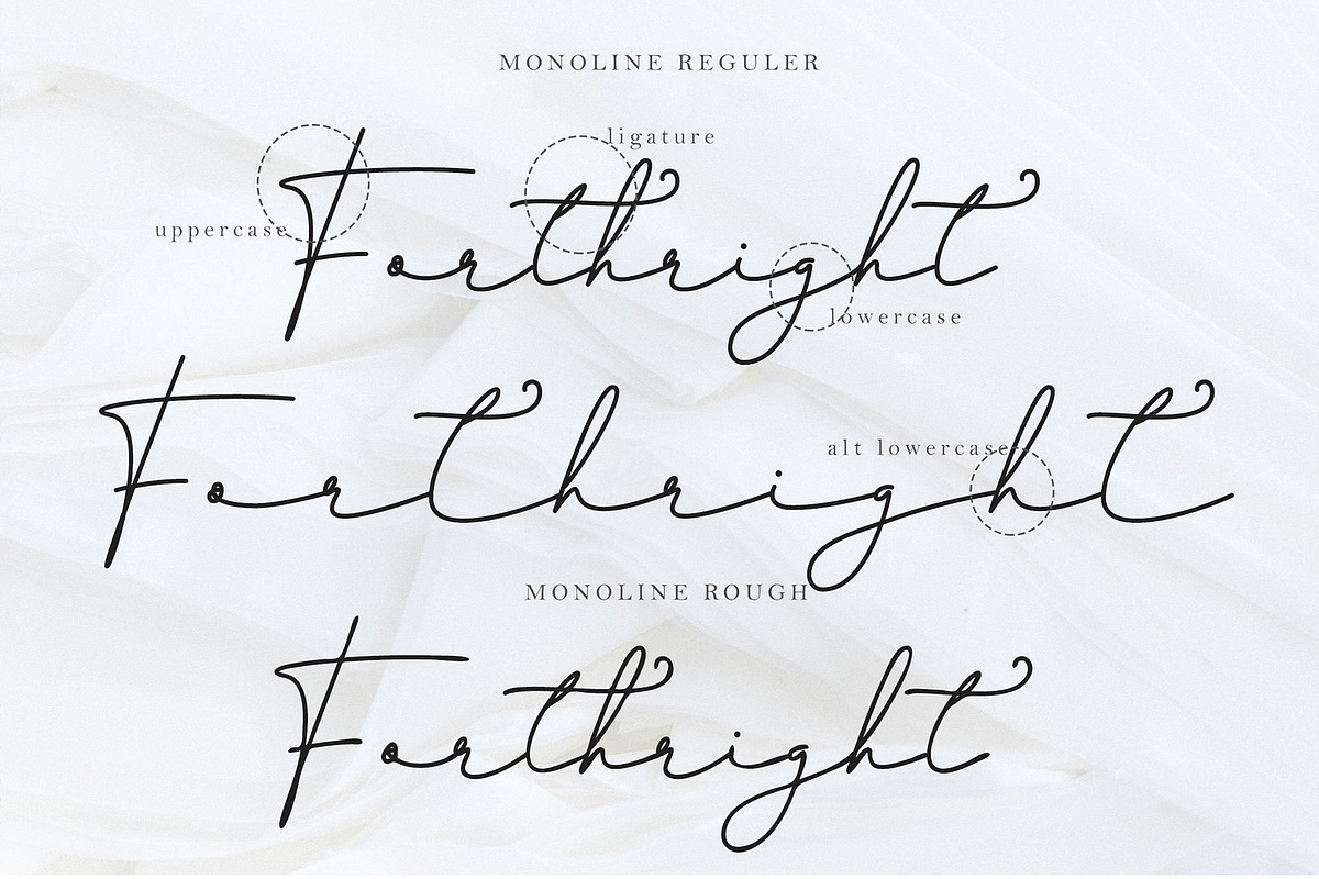Aurelista - Monoline Signature, a Script Font by erlosDESIGN (Photo 12 of 13)