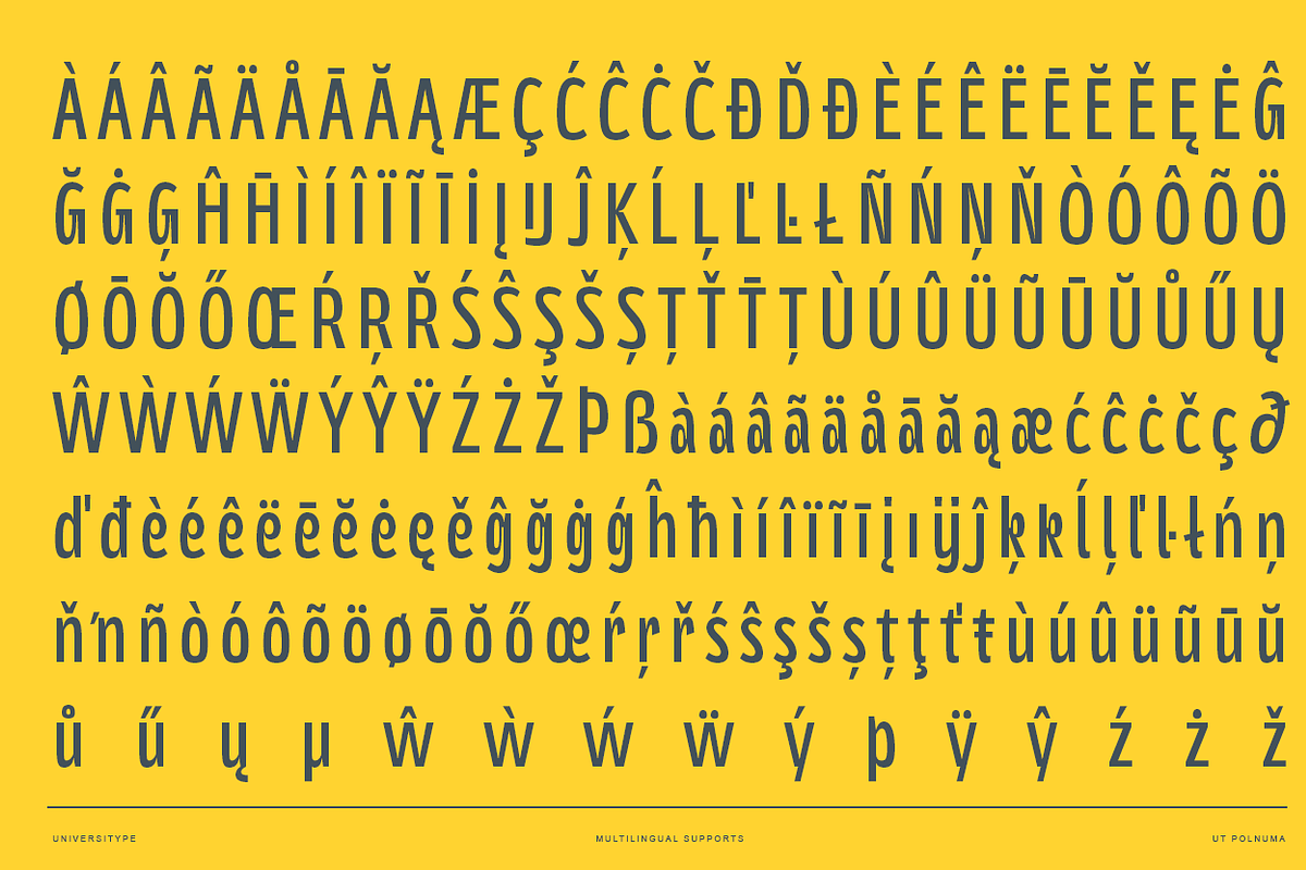 UT Polnuma - A Modern Sans Serif, a Sans Serif Font by Universitype (Photo 3 of 12)
