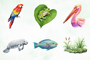 Watercolor Tropical Animals Clipart, an Illustration by Creative Art (Thumbnail 5 of 9)