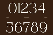 CS Ankia – Elegant Serif Font, a Serif Font by Craft Supply Co. (Thumbnail 5 of 8)