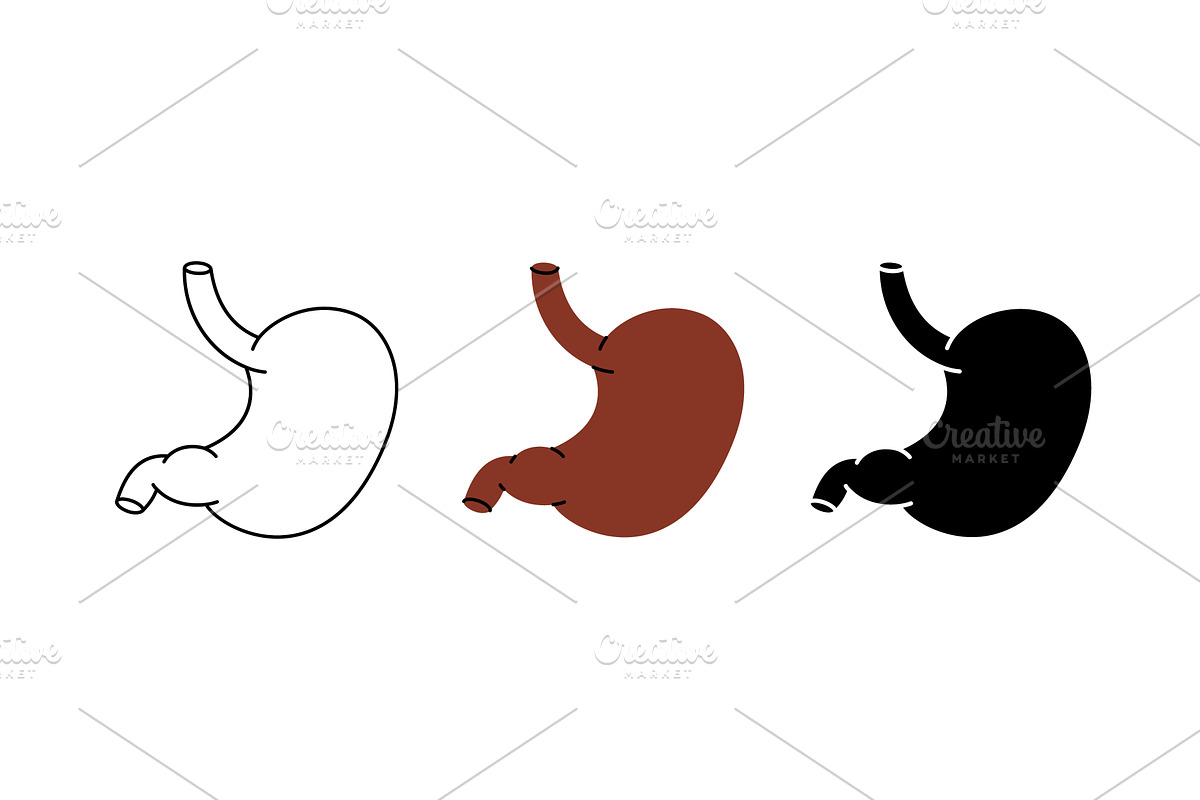 Stomach icon set. Human internal, a Healthcare Illustration by GraphiShop