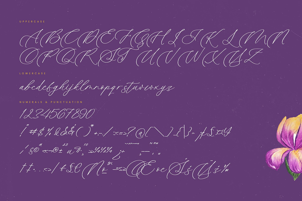 Betany Katepia Beauty Calligraphy, a Script Font by stylishtype.co (Photo 18 of 20)