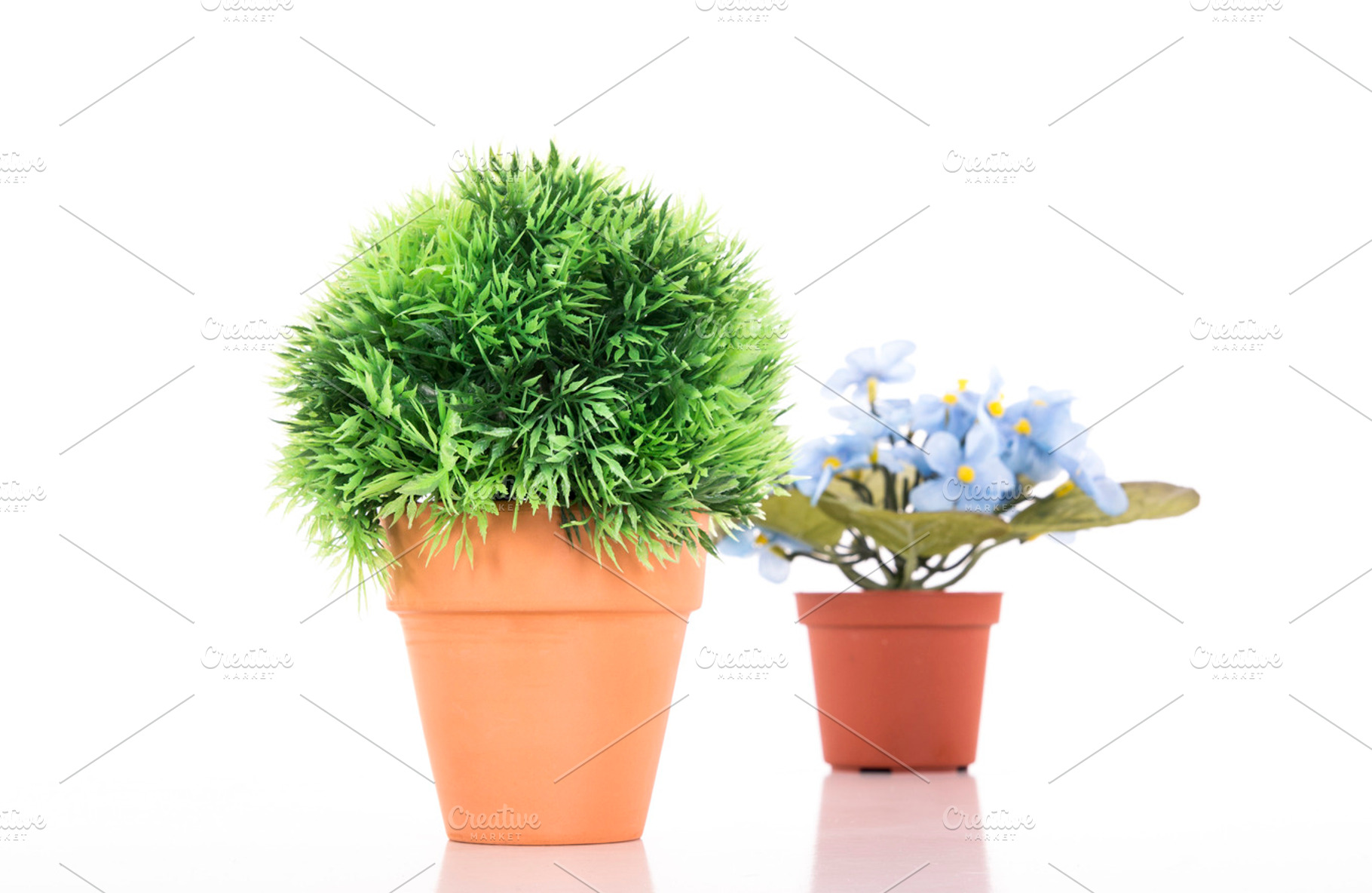 Flower pot on table stock photo containing view and plastic, an Abstract Photo by Carlos Die Banyuls