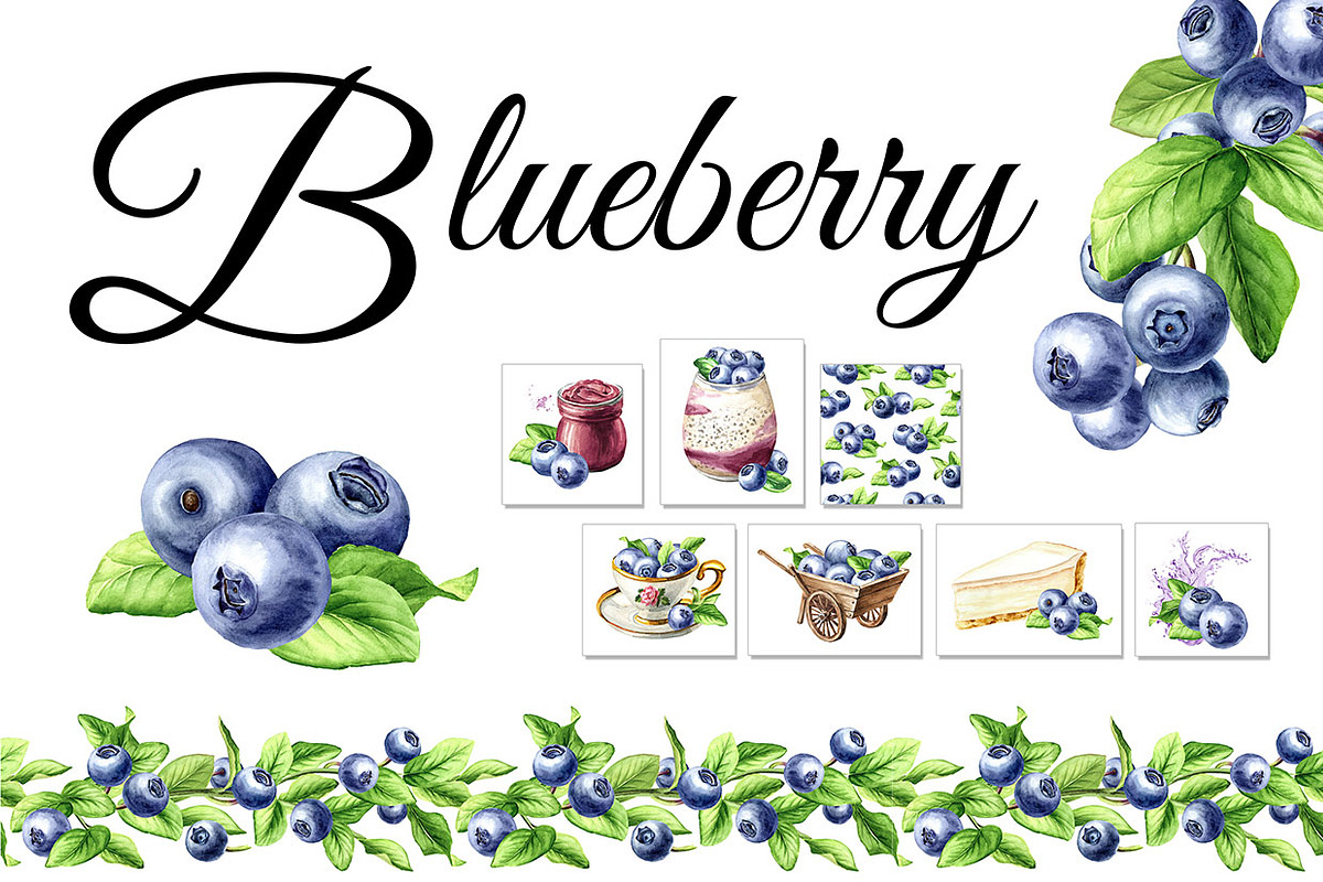 Blueberry. Watercolor collection, a Food Illustration by Daria Ustiugova (Photo 1 of 25)