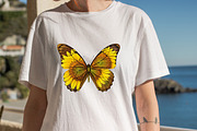 Floral Butterfly PNG Butterflies Cli, an Illustration by SVGArt (Thumbnail 5 of 7)