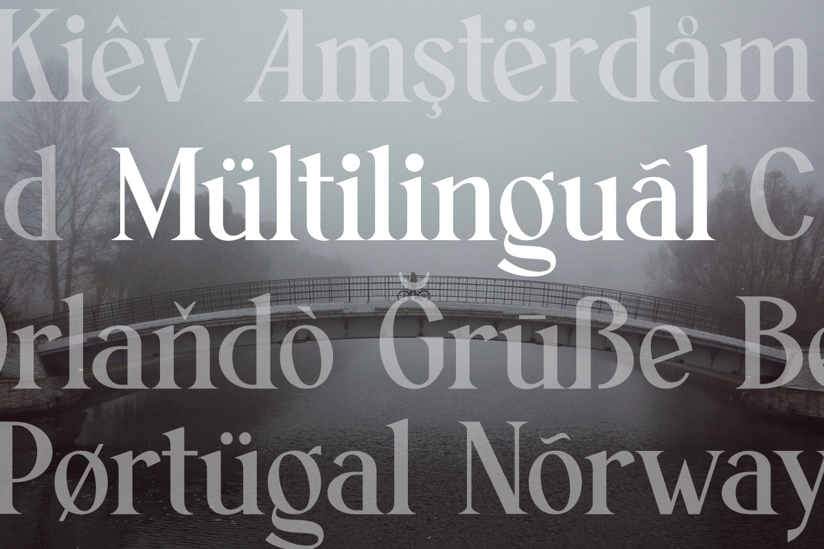 Silver Linings | Vintage Condensed, a Serif Font by ClevUs (Photo 9 of 12)