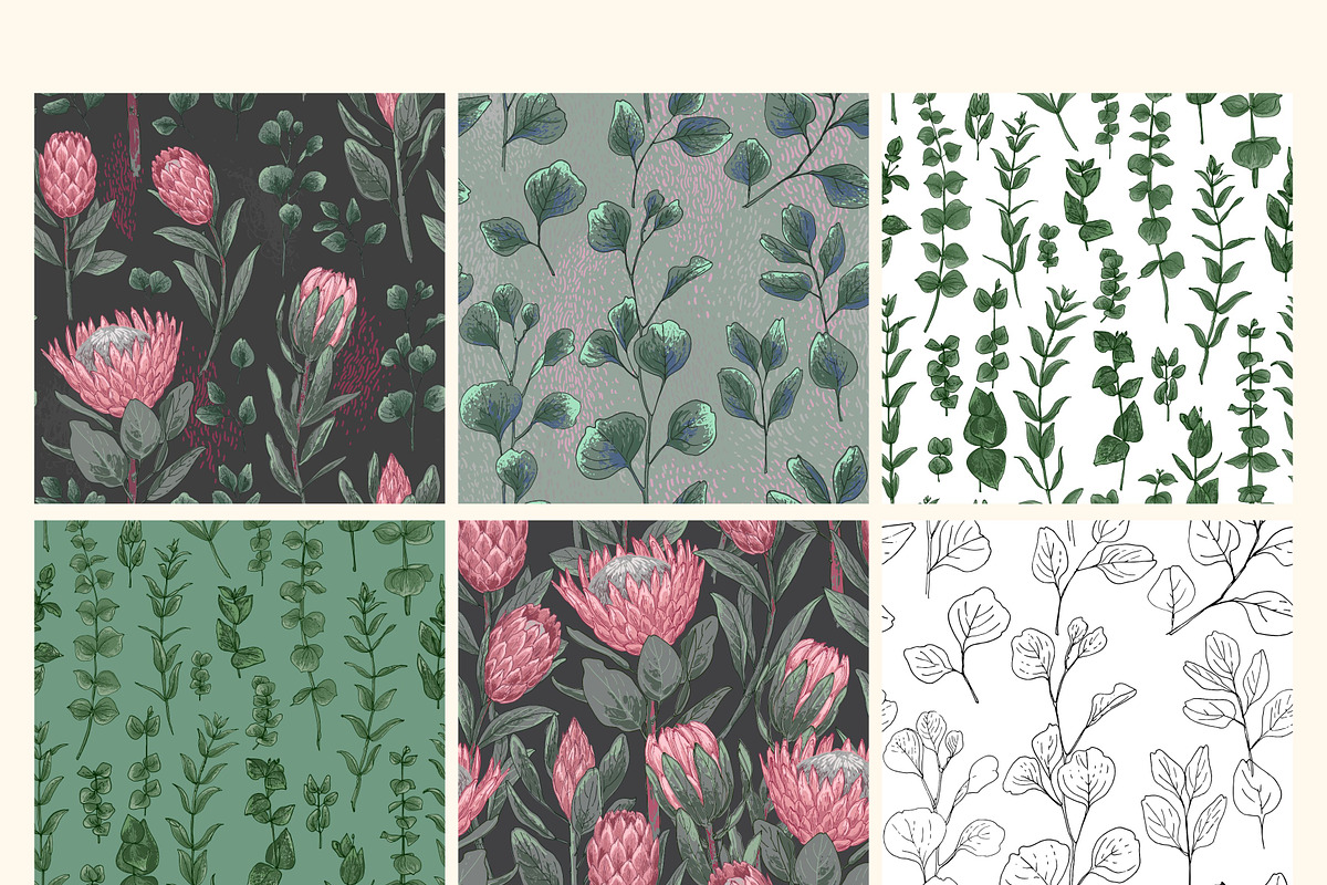 Protea flowers and eucalyptus sketch, an Illustration by irina.vaneeva (Photo 6 of 12)