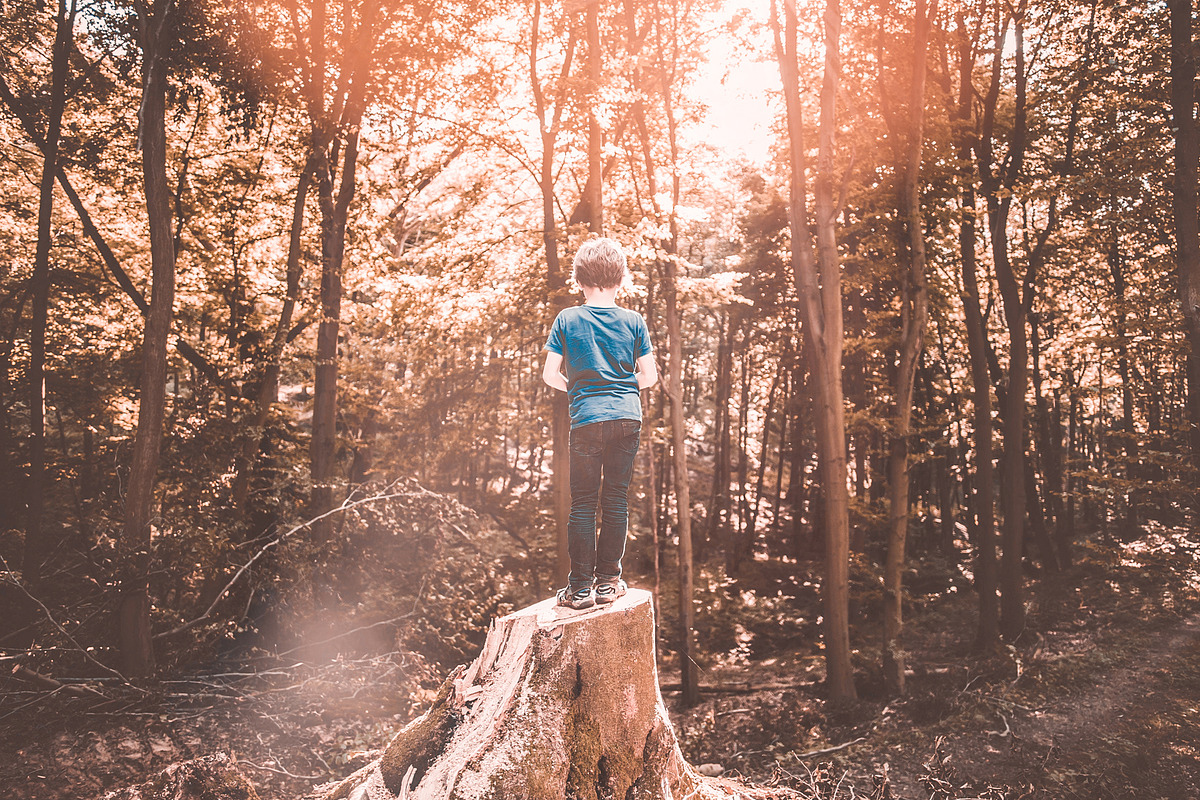 Fall Presets 2019 - Lightroom Preset, an Action Add-On by Maple Visuals (Photo 9 of 10)