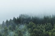 Dark & Moody Lightroom Presets, an Action Add-On by PhotoMarket (Thumbnail 40 of 65)