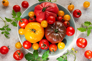 Fresh farm tomatoes displaying colorful variety on a plate, a Food & Drink Photo by Olena Rudo