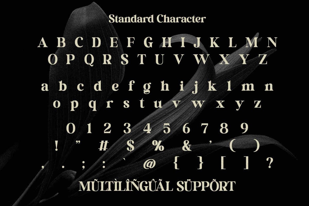 Castina Editorial Font Duo, a Script Font by Madjack.font (Photo 10 of 10)