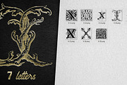 28 IN 1 VINTAGE LETTERS COLLECTION, a Symbol Font by Graphic Spirit (Thumbnail 26 of 31)