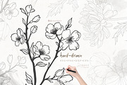 Birth Month flowers Svg, bundle 125, a Graphic by Drawberx (Thumbnail 2 of 10)