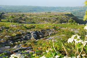 Burren landscape
