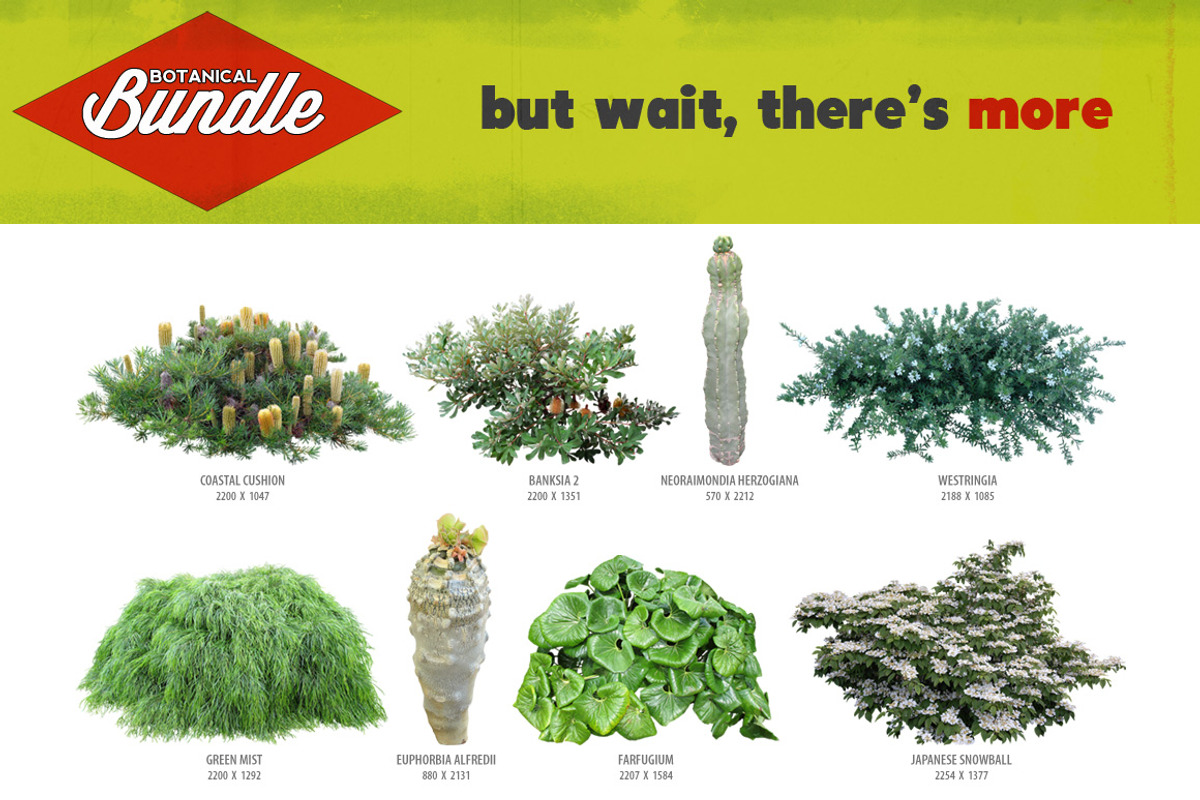 Botanical Bundle - 250 Plants *SALE*, an Object Graphic by envirographic (Photo 6 of 6)