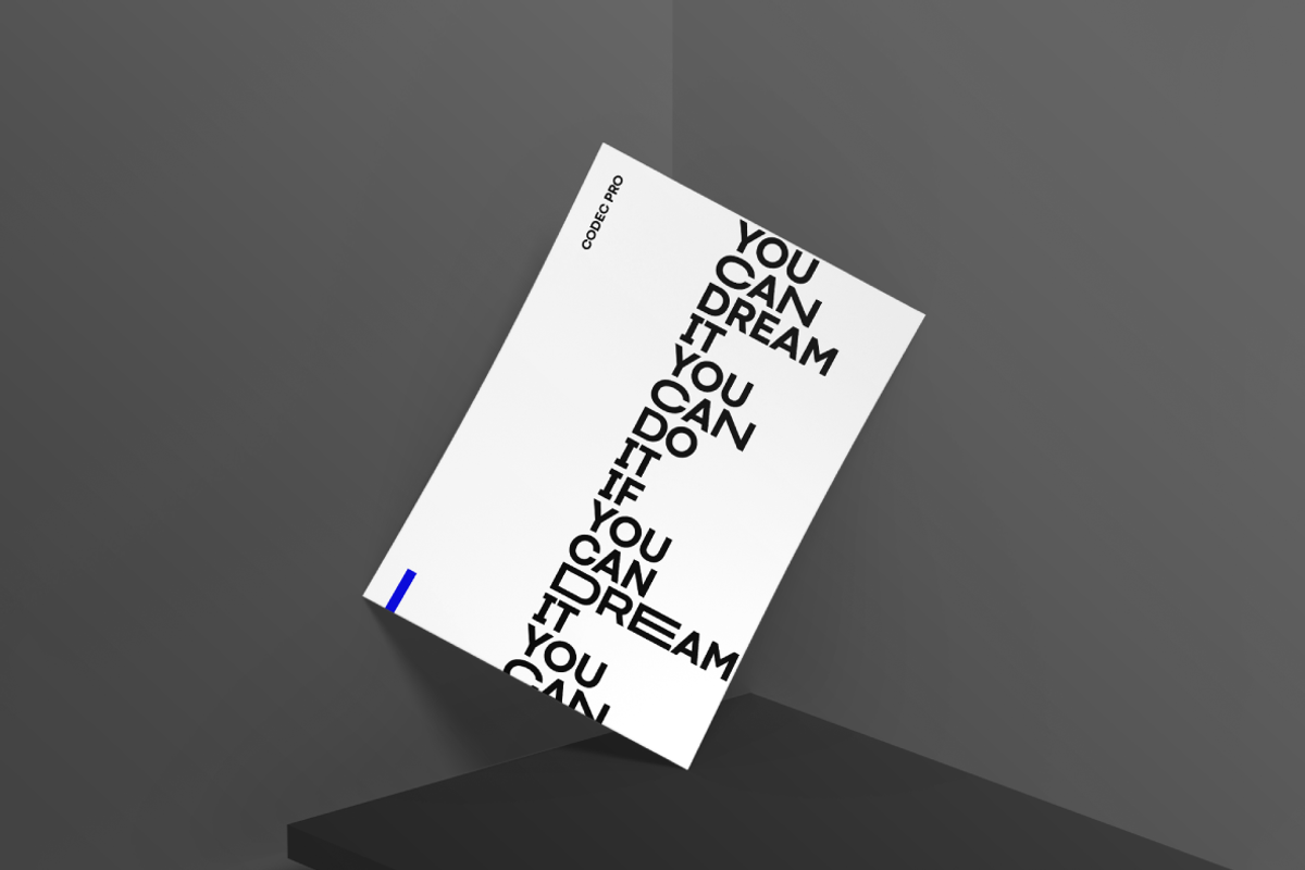 Codec Pro 22 fonts + 1 variable preview 5