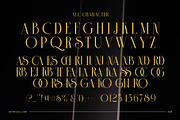 Trends 2025 Serif Font, a Serif Font by Graphicxell (Thumbnail 8 of 8)