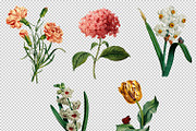 5x Isolated Flower Illustration (02), an Object Graphic by Europe.graphics (Thumbnail 5 of 7)