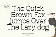 Rompluck - A Display Typeface, a Serif Font by Comactype Foundry (Thumbnail 15 of 20)