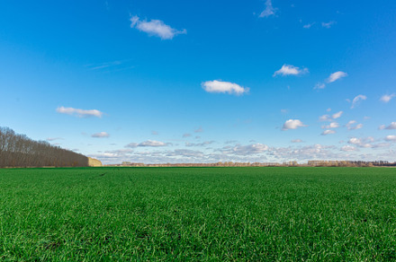 Green meadows with blue sky and clou, a Nature Photo by AlexBush