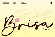 CS Brisa Drawn, a Script Font by Craft Supply Co. (Thumbnail 1 of 8)