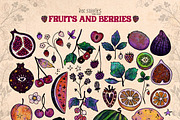 Fruits and Berries | Hand Drawn Boho, a Food Illustration by Ink Stories (Thumbnail 2 of 13)