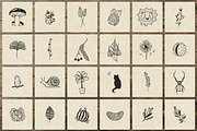 150 Hand Drawn Elements -Nature III-, an Animal Illustration by Michael Rayback Design (Thumbnail 2 of 15)