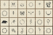 150 Hand Drawn Elements -Nature II-, an Animal Illustration by Michael Rayback Design (Thumbnail 6 of 8)