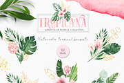Watercolor tropical collection, an Object Graphic by Ana-Sakuta (Thumbnail 5 of 16)
