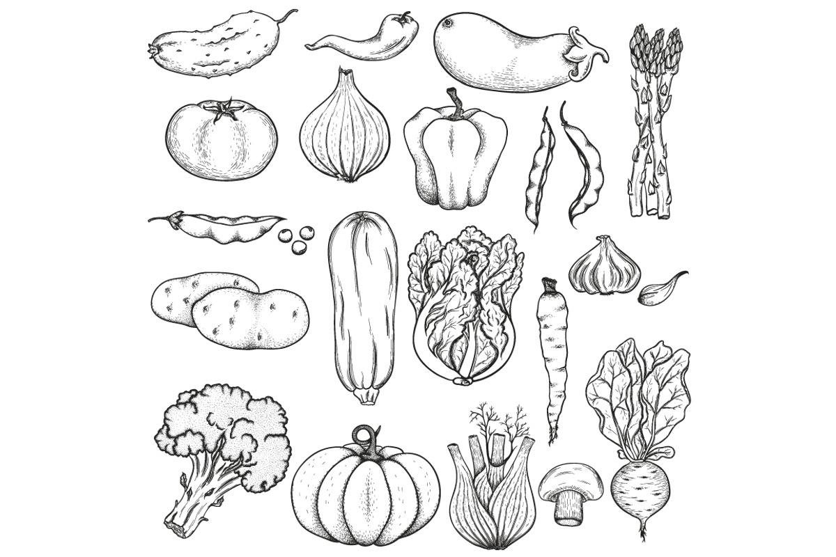 Big collection of vegetables