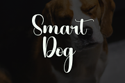 Beagle, a Font by InermediaSTUDIO (Thumbnail 3 of 8)