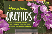 Turbinado Condensed Two, a Script Font by Aerotype (Thumbnail 2 of 5)