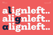 Itadori, a Slab Serif Font by Zafara Studios (Thumbnail 9 of 12)