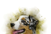 Organic Imperfect Watercolor Action, an Action Add-On by MRI STUDIO (Thumbnail 12 of 13)
