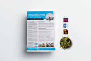 Nonprofit Organization Fact Sheet, a Flyer Template by design_hut (Thumbnail 1 of 4)