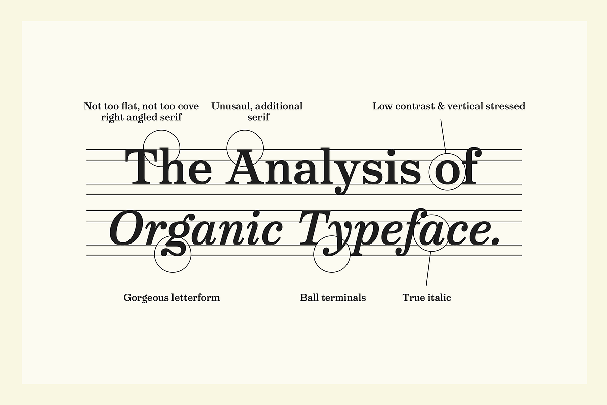 Victorian Orchid, a Serif Font by Dharma Type (Photo 9 of 12)