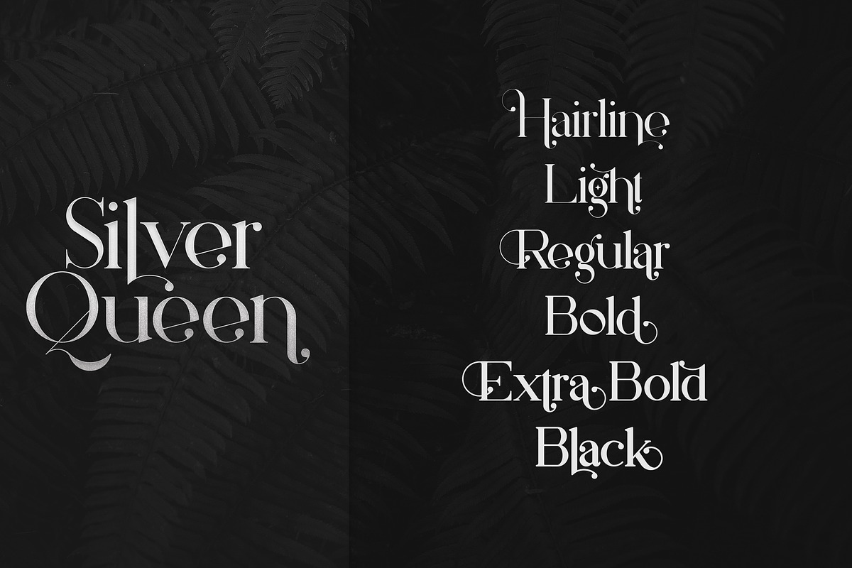 Silver Queen - Serif Typeface preview 2