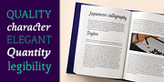 Thalweg, a Serif Font by Ani Dimitrova (Thumbnail 11 of 15)